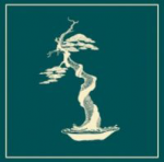 logo-delbac-bonsai-torino