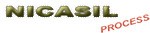 logo_nicasil